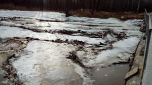 Саровка - 5.jpg